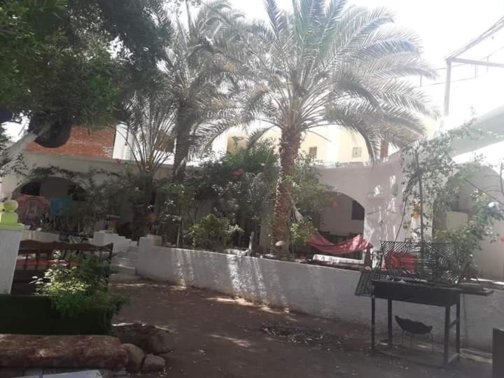 Hotel Fighting Kangaroo Camp Dahab Exterior foto